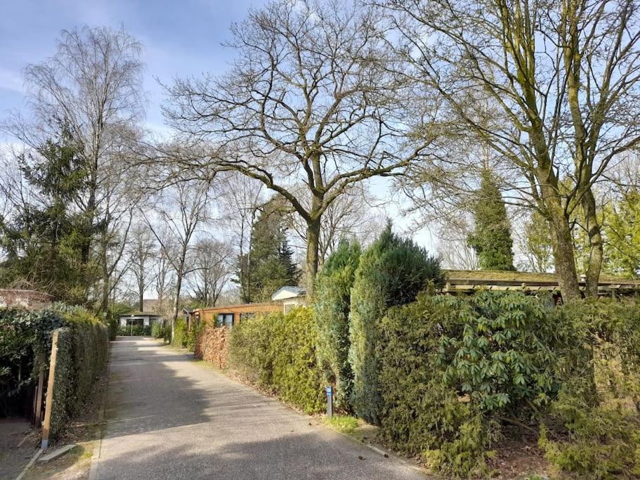 Gezellig Ingerichte Blokhut Op Een Rustig Park! Putten Eksteriør bilde