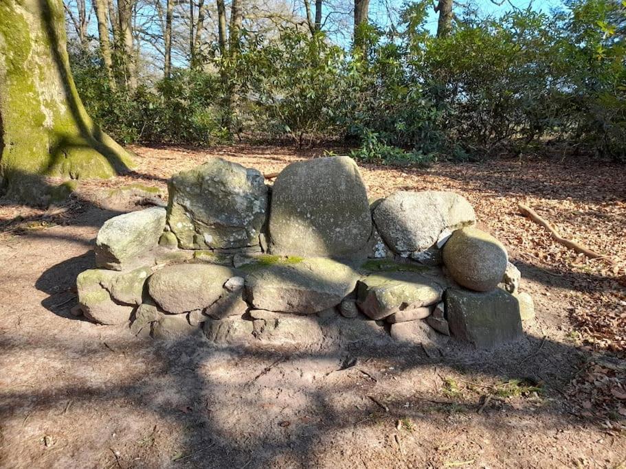 Gezellig Ingerichte Blokhut Op Een Rustig Park! Putten Eksteriør bilde